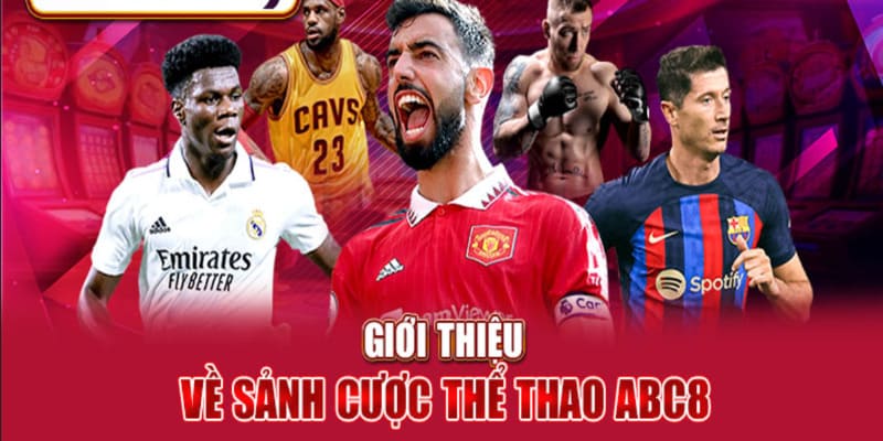 Giới thiệu thông tin cơ bản về thể thao ABC8